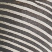 Sticker Créez votre propre professionnel (Devant)