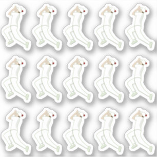 Sticker Cricket