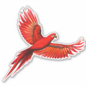 Sticker Crimson Macaw / Red Parrot en vol (Devant)