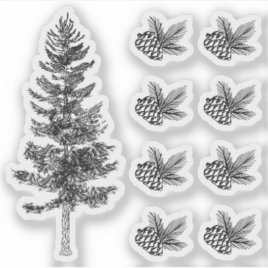 Sticker Croquis Rustique Pine Tree & Cones Forêt Bois (Devant)