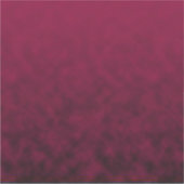 Sticker Crushed Bloom (Devant)