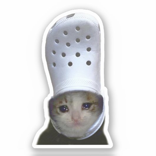 Sticker Crying Cat Croc Hat Meme (Recto)