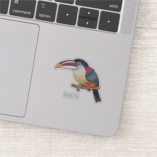 Sticker Curl crested aracari bird cartoon (Détail)