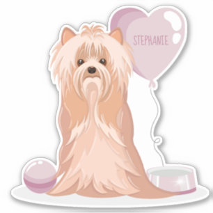 Sticker Curte Yorkshire Terrier Anniversaire