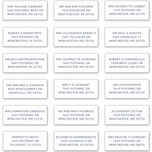 Sticker Custom Name 18 Shipping Large Address Labels (Devant)