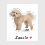 Sticker Custom photo Poodle puppy (Feuille)