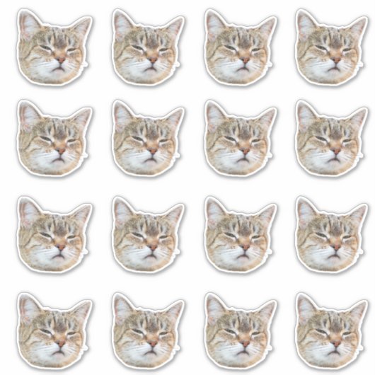 Sticker Custom Photo Waterproof Vinyl  (Devant)