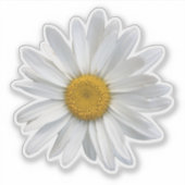 Sticker Cute blanc et jaune marguerite florale (Devant)