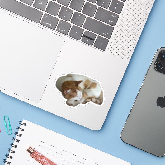 Sticker Cute Cat with Broken Heart (Ordinateur portable avec iPhone)