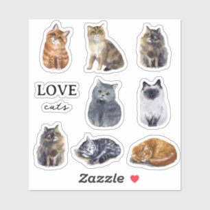 Sticker Cute Cats Illustrated Kids Custom
