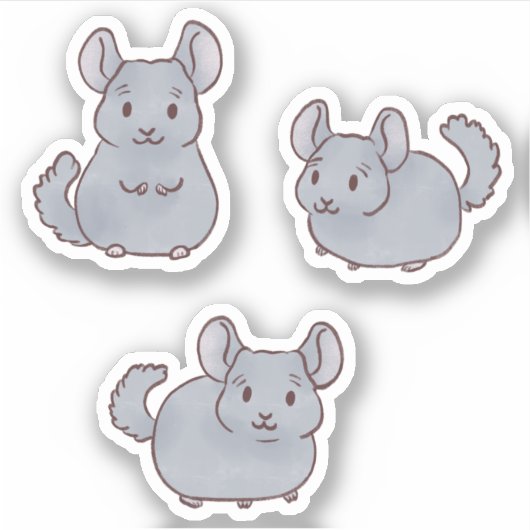 Sticker Cute Chinchillas (Devant)
