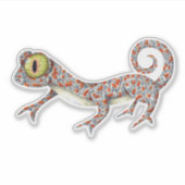 Sticker Cute Gecko Illustré (Devant)