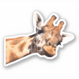 Sticker Cute Giraffe Portrait