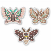 Sticker Cute Kawaii Chibi Moths (Devant)