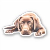 Sticker Cute laboratoire de chocolat (Devant)
