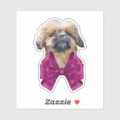 Sticker Cute Nala Shih Tzu Puppy Dog (Feuille)