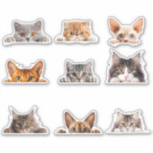 Sticker Cute Peeking Chats Bengale Siamese (Devant)