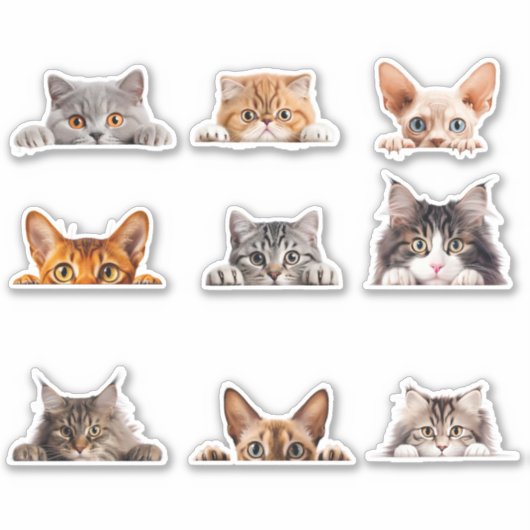 Sticker Cute Peeking Chats Bengale Siamese (Devant)
