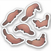 Sticker Cute Platypus (Devant)