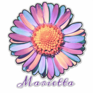 Sticker Cute Violet Rose Bleu Boho Daisy Personnalisé Bi
