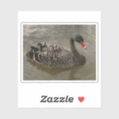 Sticker Cygne noir (Feuille)
