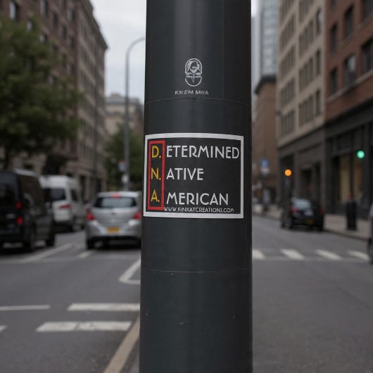 Sticker D.N.A. (RYBW) - Déterminé Amérindien