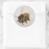 Sticker d'abeille au miel (Sac)