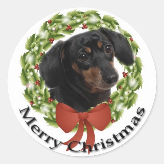 Sticker Dachshund (Devant)