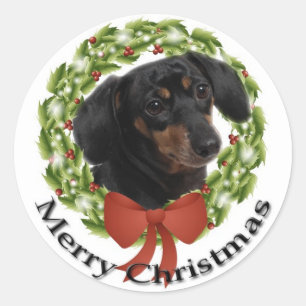 Sticker Dachshund