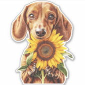 Sticker Dachshund (Devant)