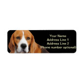 Sticker d'adresse beagle (Devant)