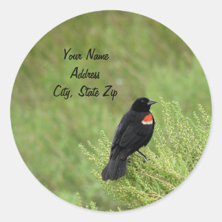 Sticker d'adresse Blackbird Redwing