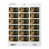 Sticker d'adresse de chat Savannah (Feuille entière)