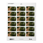 Sticker d'adresse de chat Savannah (Feuille entière)