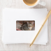 Sticker d'adresse de chat Savannah (En situation)