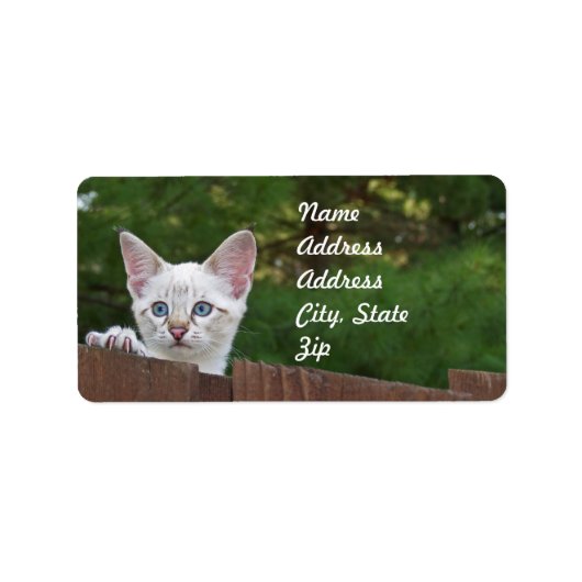 Sticker d'adresse de chat Savannah blanche (Devant)