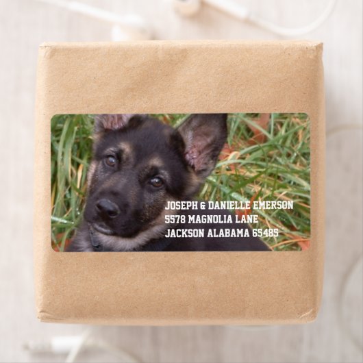 Sticker d'adresse de chiot allemand (En situation)