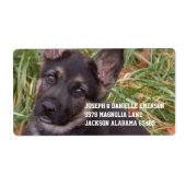 Sticker d'adresse de chiot allemand (Devant)