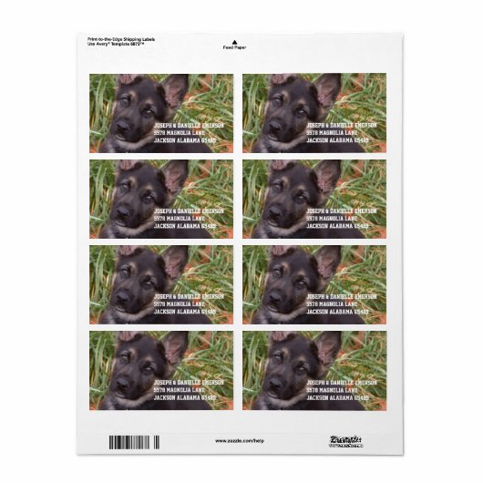 Sticker d'adresse de chiot allemand (Feuille entière)