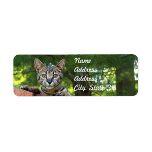 Sticker d'adresse de retour de Savannah Cat