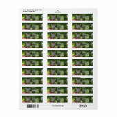 Sticker d'adresse de retour de Savannah Cat (Feuille entière)