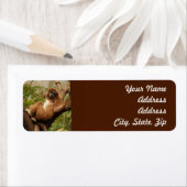 Sticker d'adresse de retour de singe (En situation)