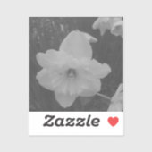 Sticker Daffodile sauvage (Feuille)