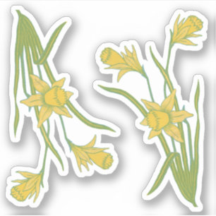 Sticker Daffodiles du jour de Saint-David ou de Saint-Pira
