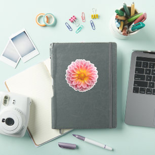Sticker Dahlia rose et gouttes de ragoût