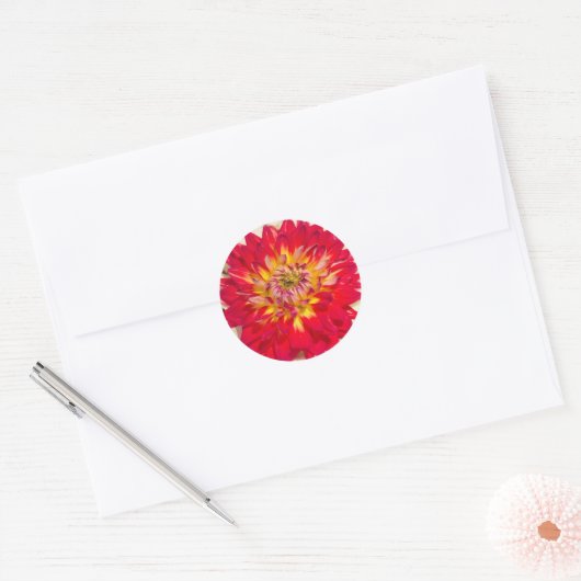 Sticker Dahlia Rouge Et Jaune Flamme (Enveloppe)