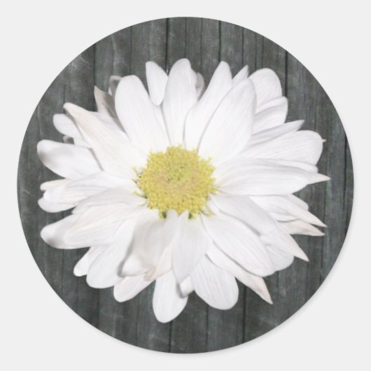 Sticker Daisy & Barnwood (Devant)