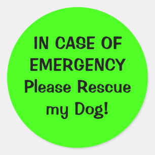 Sticker d'alerte pour animaux