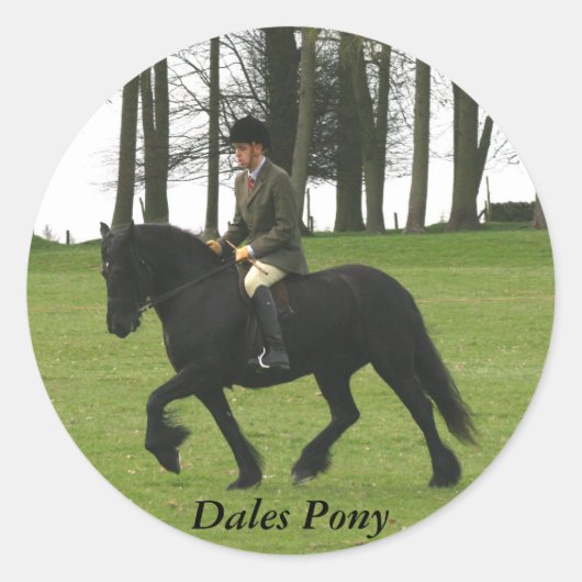 Sticker Dales Pony (Devant)