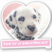 Sticker Dalmatien Nez de Coeur (Devant)